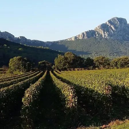 Sud Cévennes - Maison Avec Piscine Privée - Casa vacanze